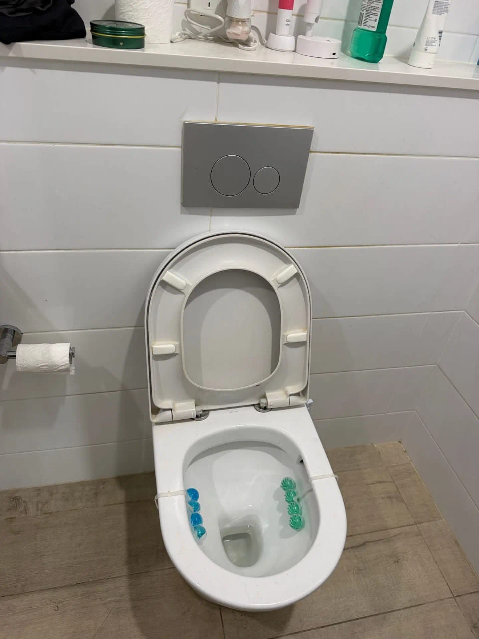 Toilet replacement · Parramatta — before existing toilet