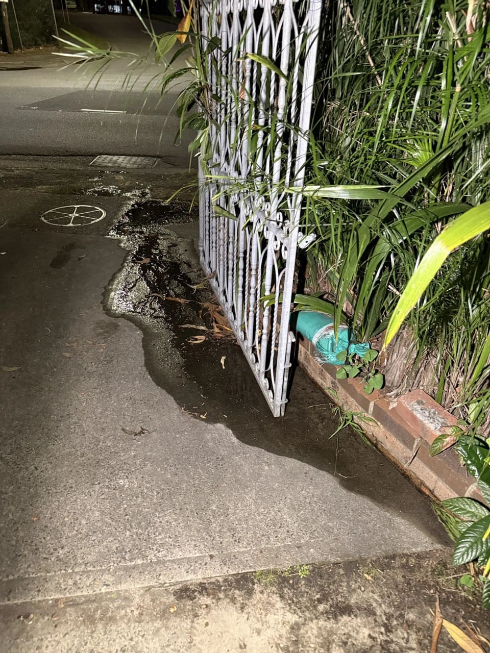 Water pipe repair · Botany — property water service location